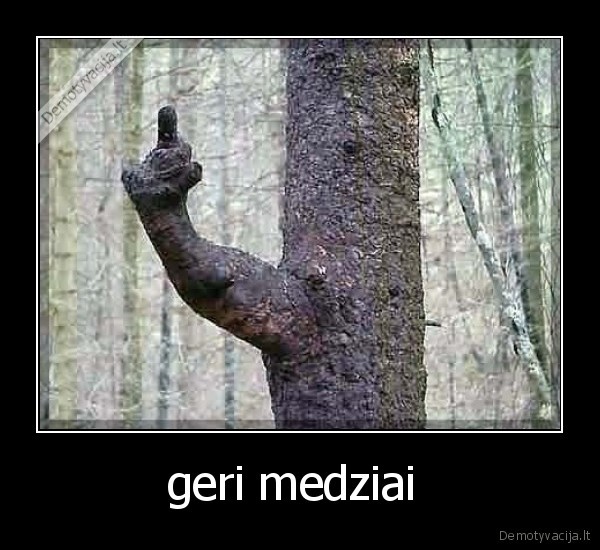geri medziai 