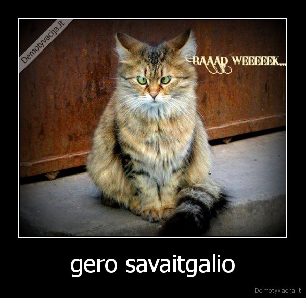gero savaitgalio