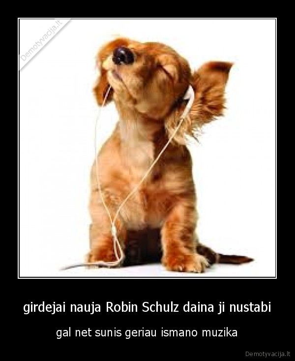 suo,muzika