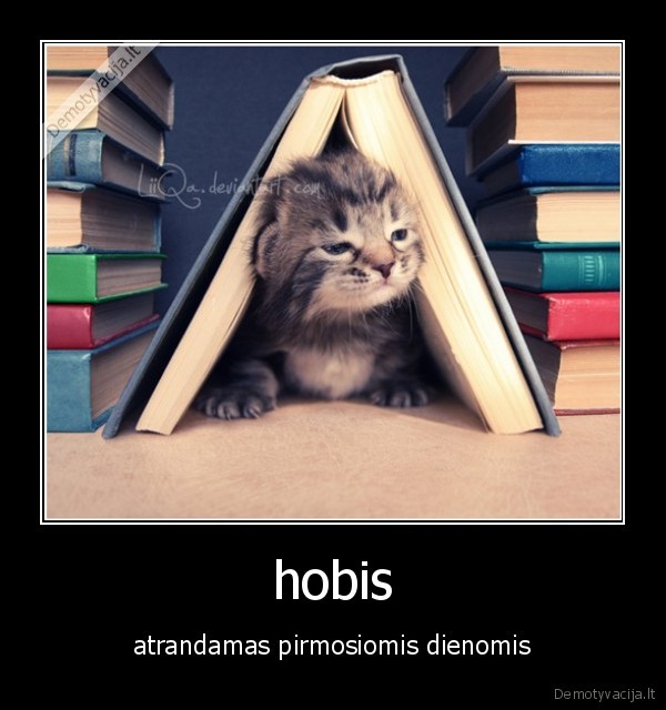 hobis