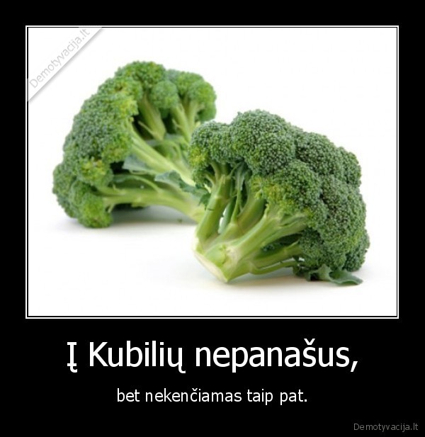 Į Kubilių nepanašus,