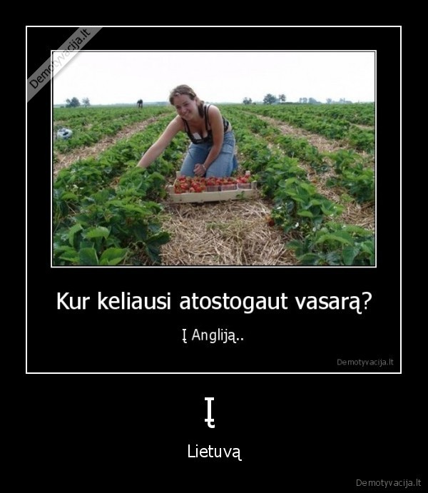 Į 