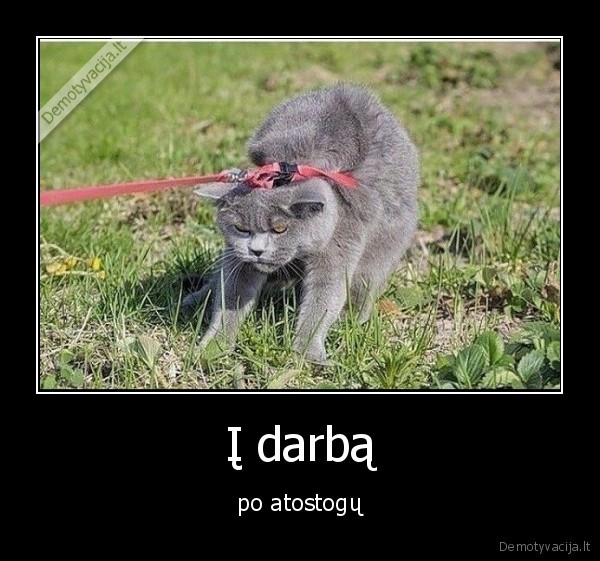 darbas,atostogos