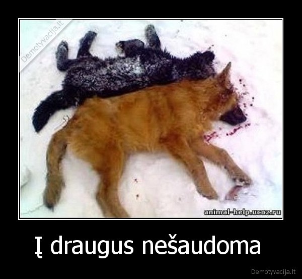 Į draugus nešaudoma 