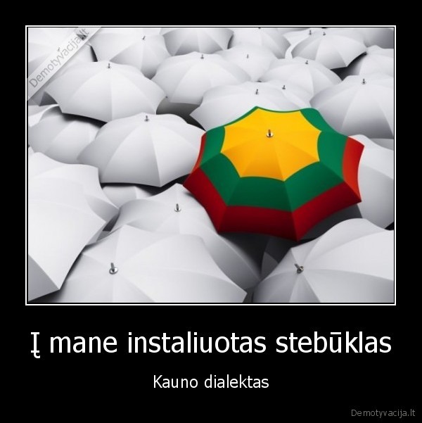 Į mane instaliuotas stebūklas