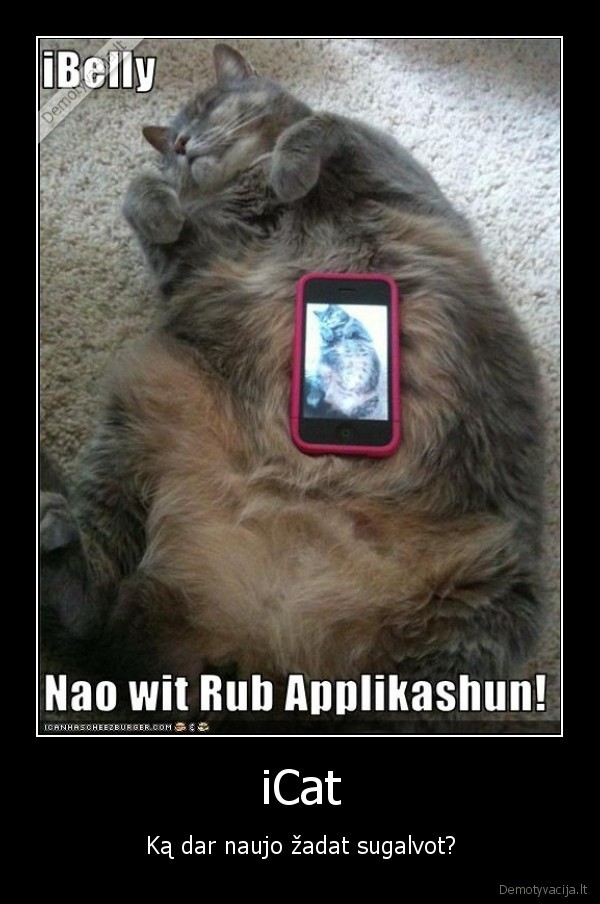 iCat
