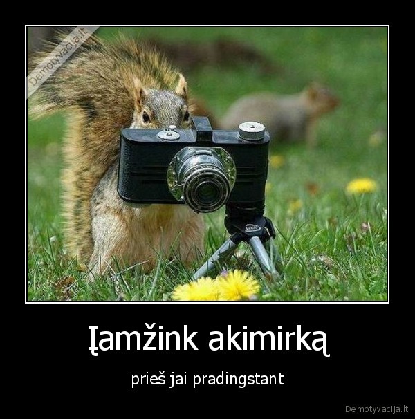 fotoaparatas,akimirka,nepamirstama