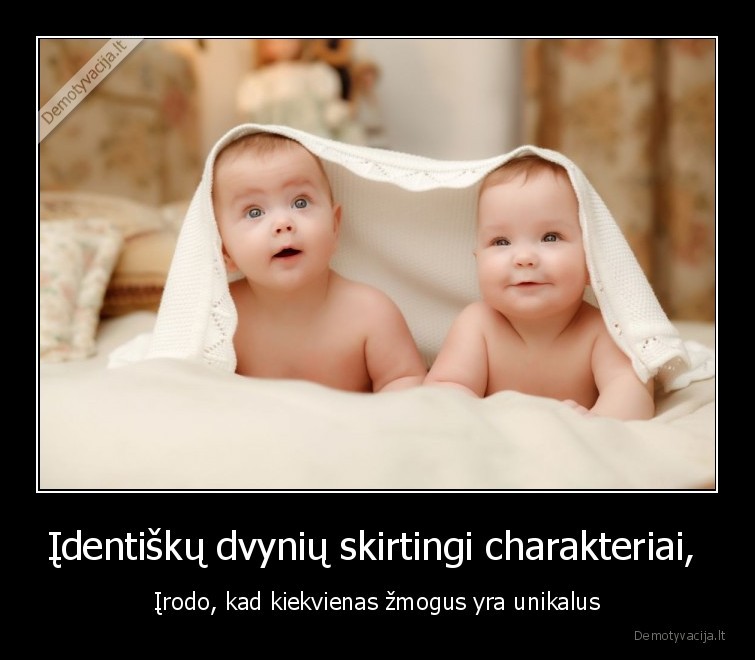 Įdentiškų dvynių skirtingi charakteriai, 