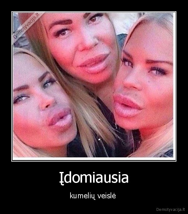Įdomiausia
