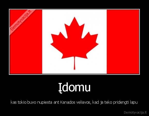 Įdomu