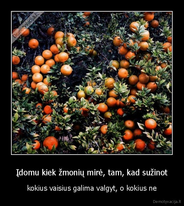 vaisiai,zmones