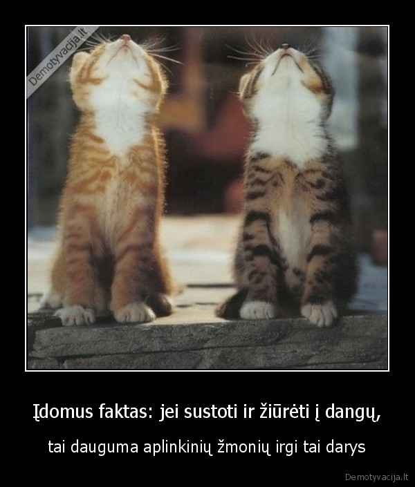 dangus,ziureti