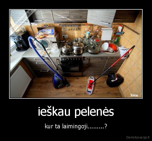 ieškau pelenės