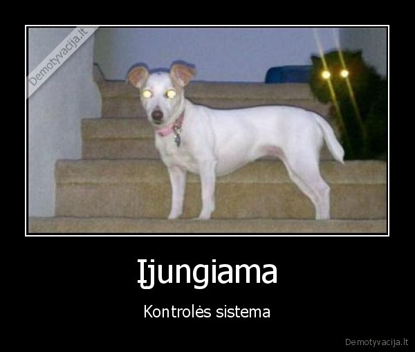 kontrole,gyvunai
