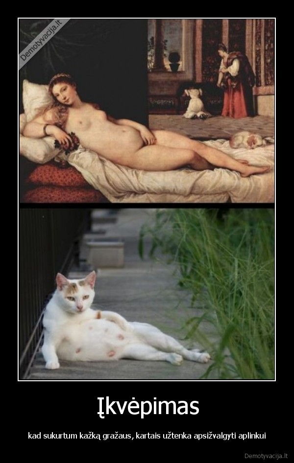 kate,paveikslas,menas