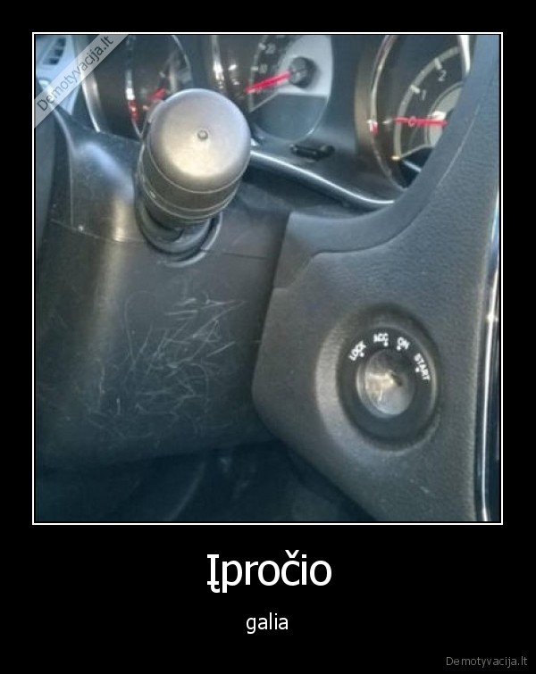 galia,iprotis