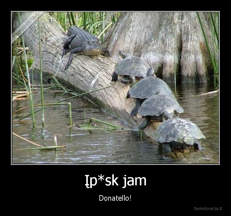donatello,vezliukai,nindzes