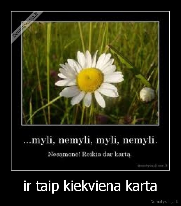 ir taip kiekviena karta