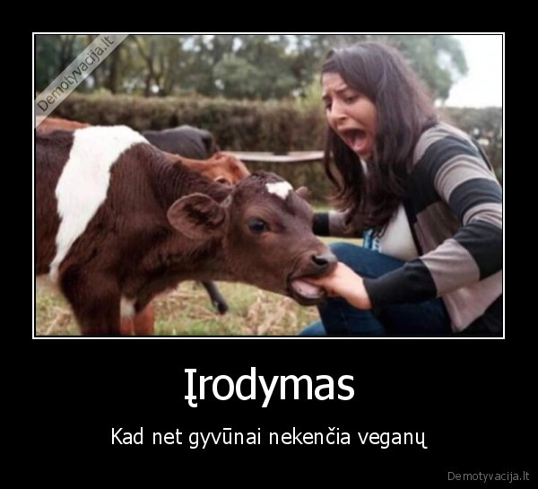 veganai,karve, ikando,teliukas