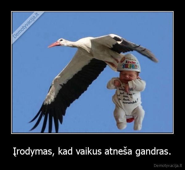 vakai,gandras,gimsta, vaikas