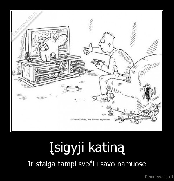 katinas,kate,kates