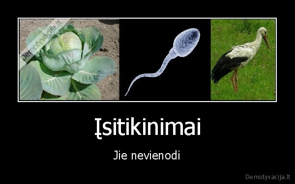 chuck, norris,nevienodi,isitikinimai,gandras,kopustas,spermis