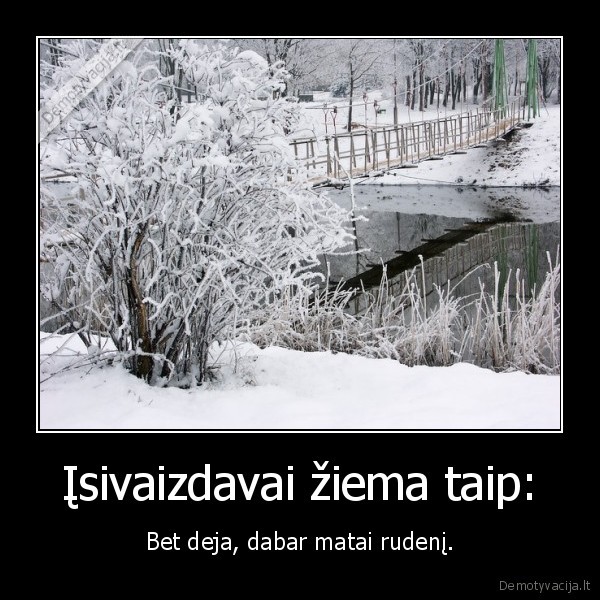 Įsivaizdavai žiema taip: