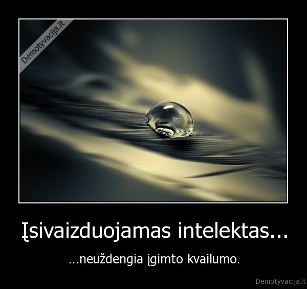 Įsivaizduojamas intelektas...
