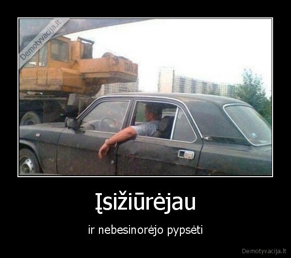 bibpseti,didelis