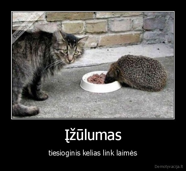 Įžūlumas