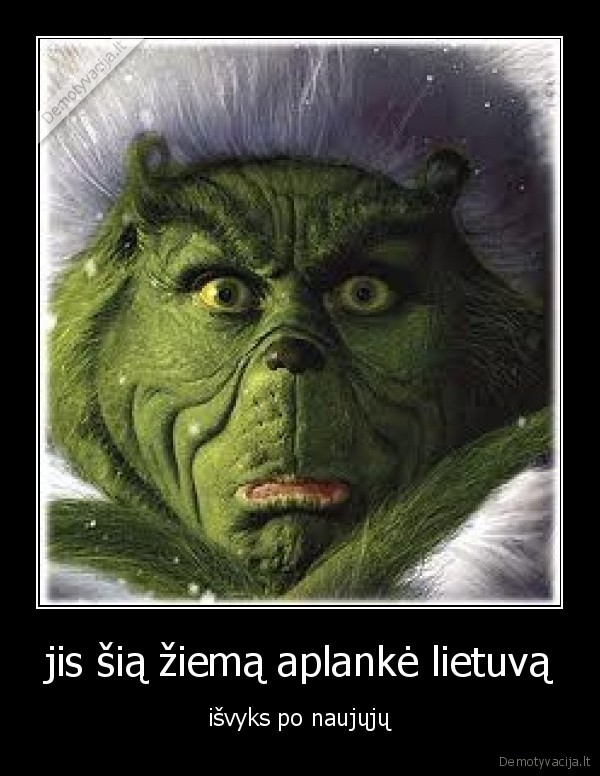 grincas,ziema,lietuva,naujieji
