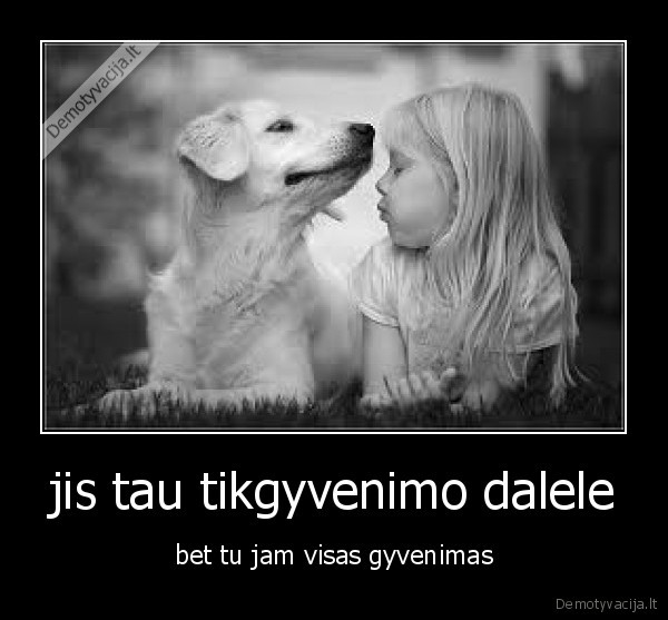 jis, tu, gyvenimas, dalele