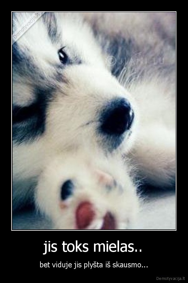 jis toks mielas..