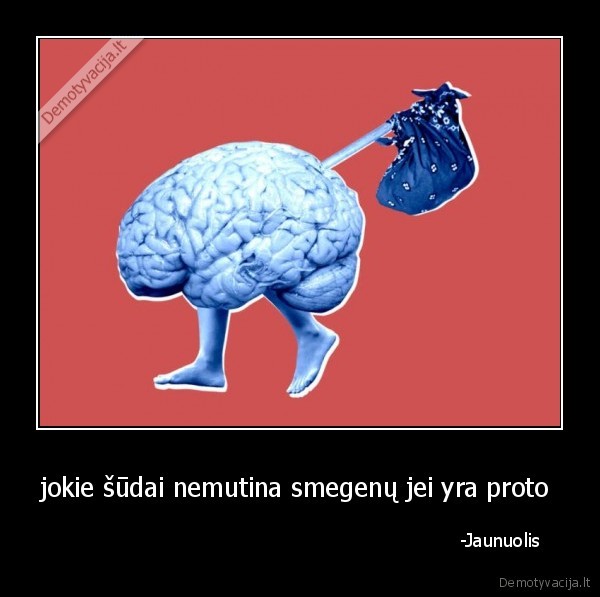 jokie šūdai nemutina smegenų jei yra proto 