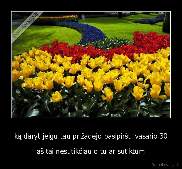 ką daryt jeigu tau prižadėjo pasipiršt  vasario 30