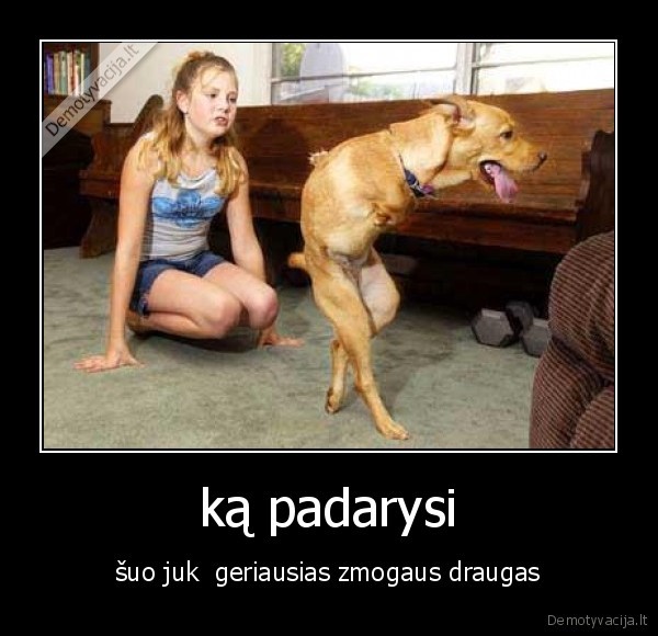 ką padarysi