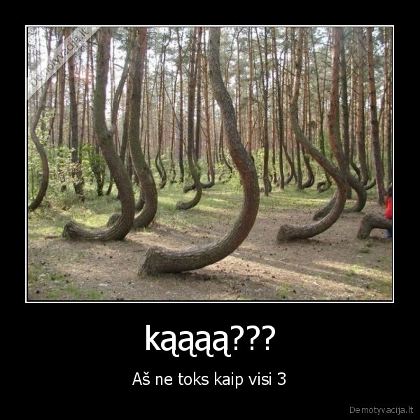 kąąąą???