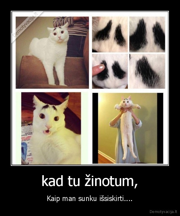 kad tu žinotum,
