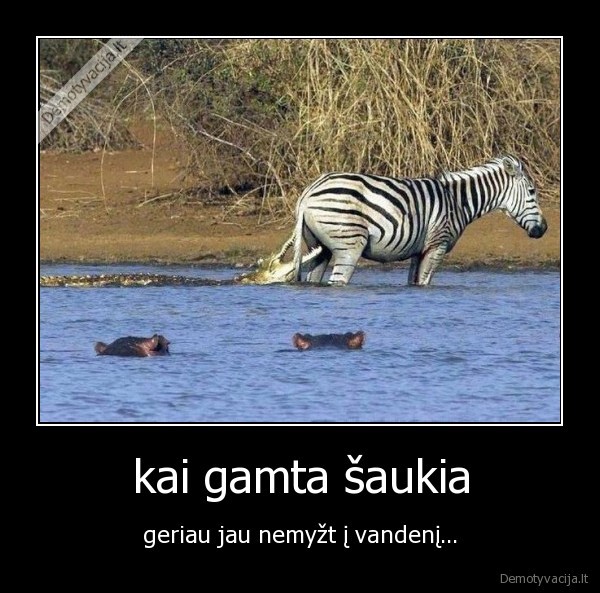 kai gamta šaukia