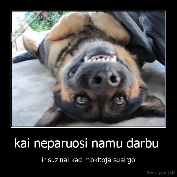 kai neparuosi namu darbu 