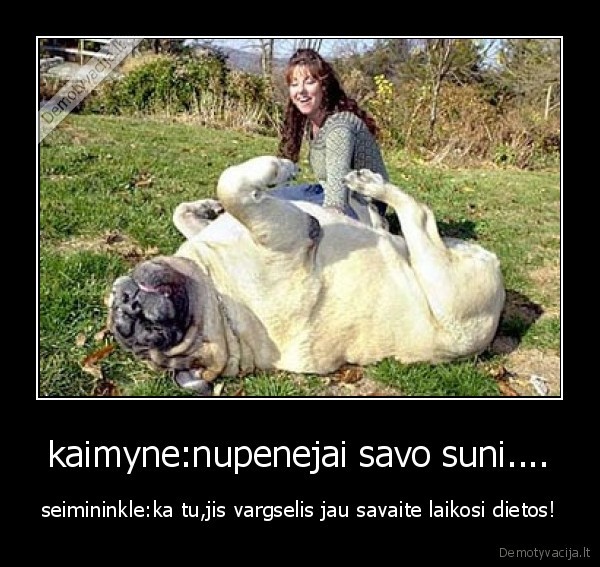kaimyne:nupenejai savo suni....