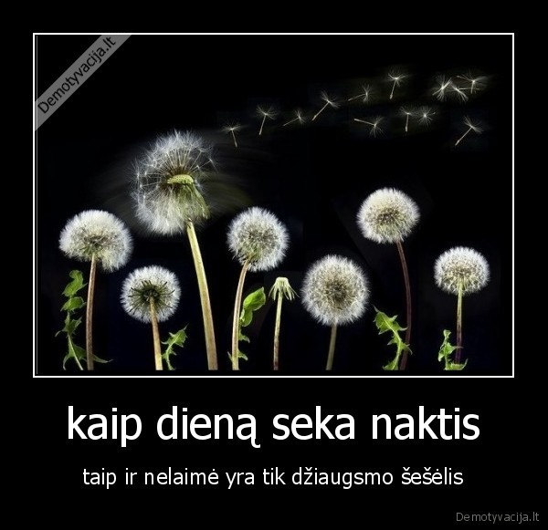 diena,naktis,laime,seselis