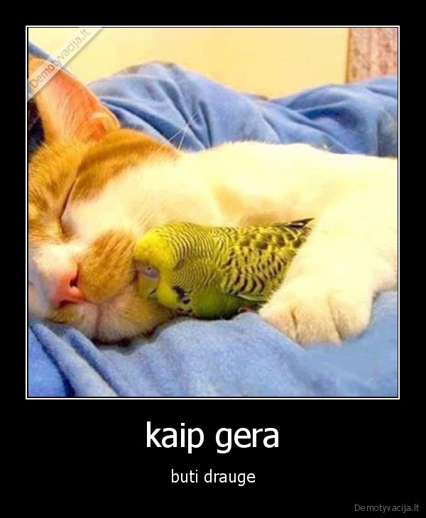 kaip gera