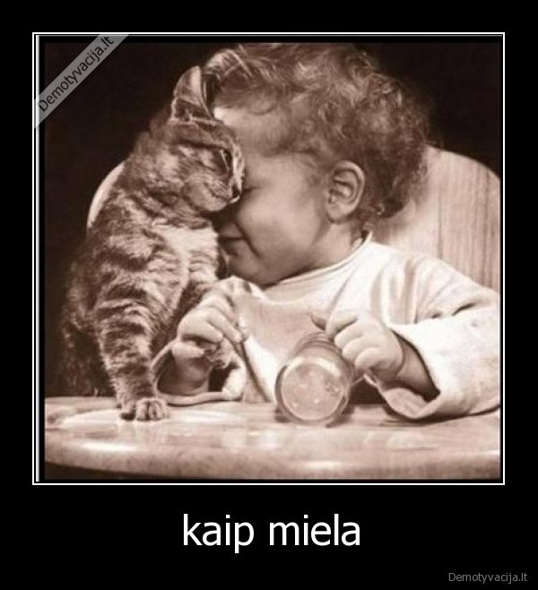 kaip miela
