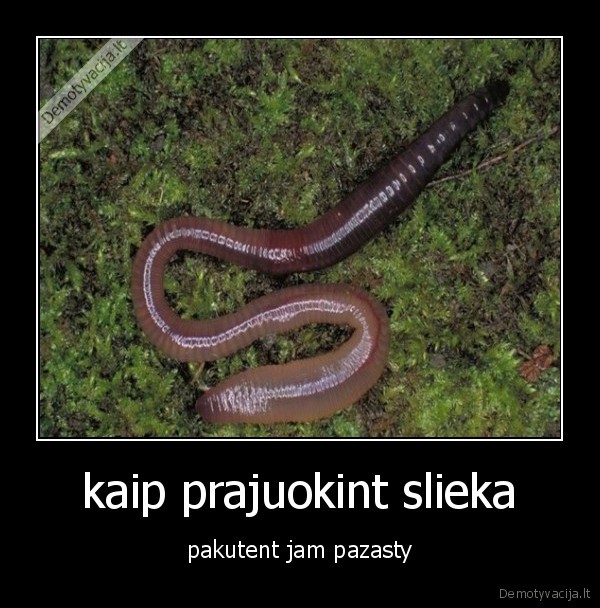 kaip prajuokint slieka