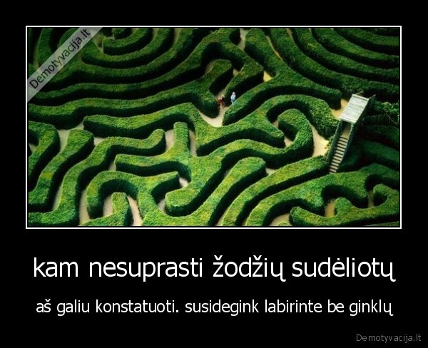 kam nesuprasti žodžių sudėliotų