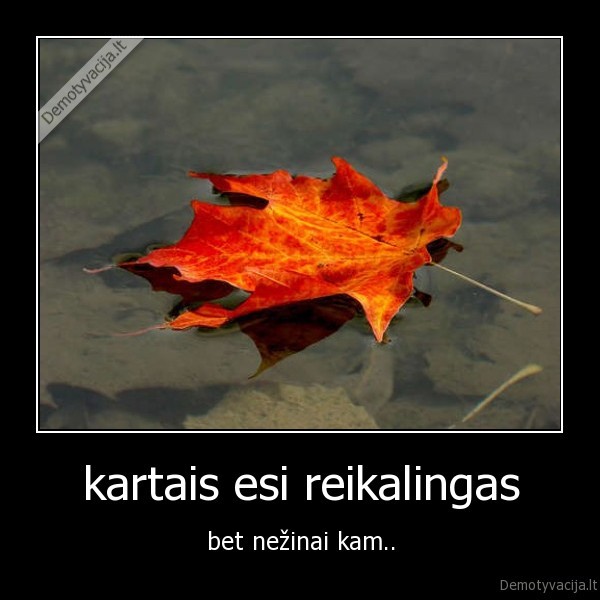 lapas,reikalingas