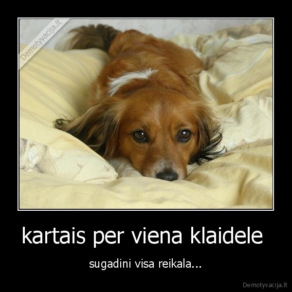 kartais per viena klaidele 