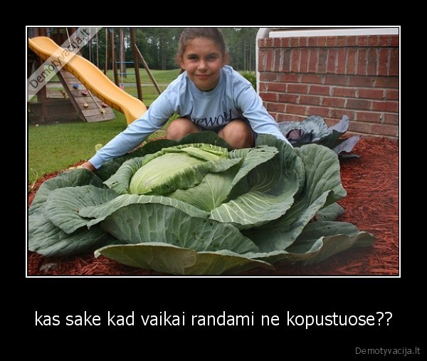 kopustas,vaikas