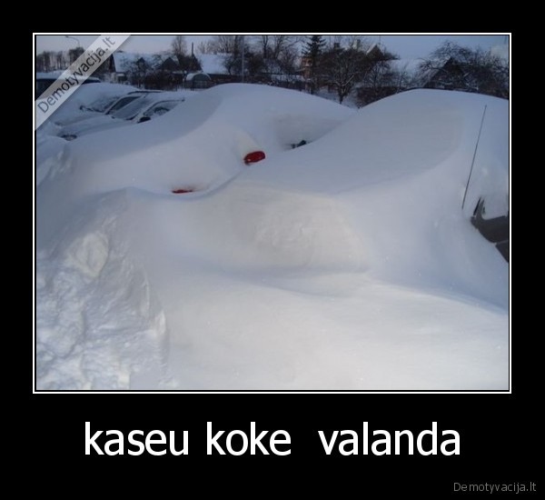 pilna, sniego, ant, masinu